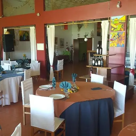 Casa Da Felicidade