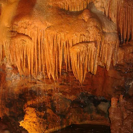 Casa Da Felicidade Pataias