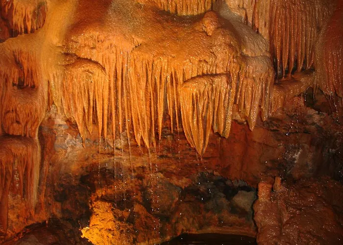 Casa Da Felicidade Pataias